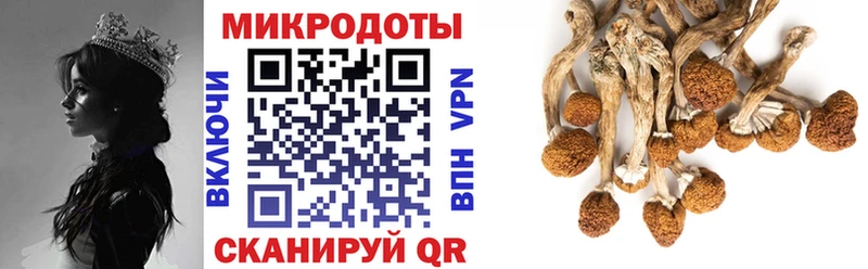Галлюциногенные грибы Magic Shrooms МЕГА зеркало Горячеводский